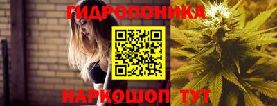 ALPHA PVP Малгобек