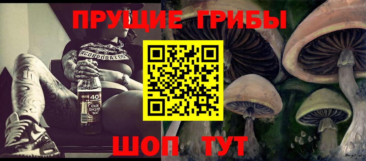 Галлюциногенные грибы Psilocybine cubensis Славянск-на-Кубани