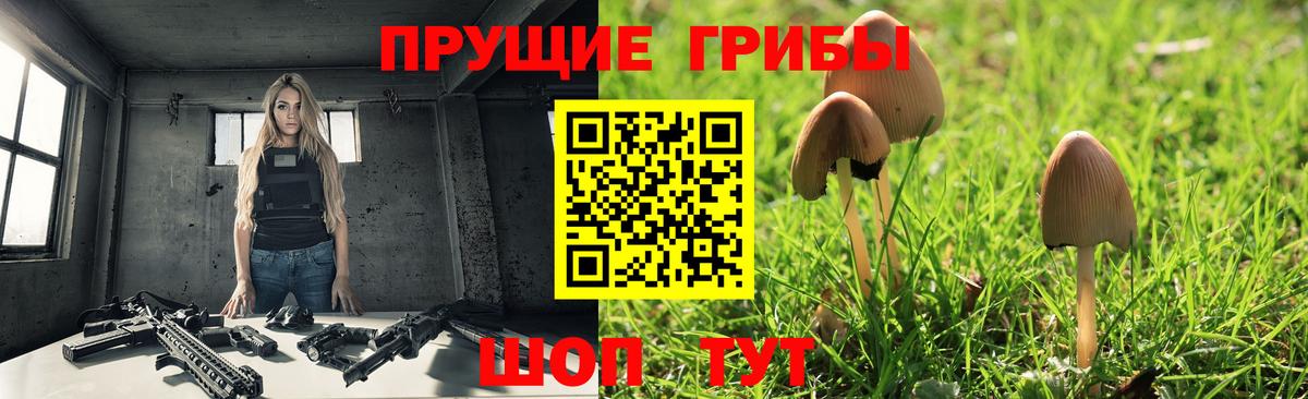как найти закладки  Псилоцибиновые грибы MAGIC MUSHROOMS  Галлюциногенные грибы прущие грибы  Вход с VPN  Славянск-на-Кубани 